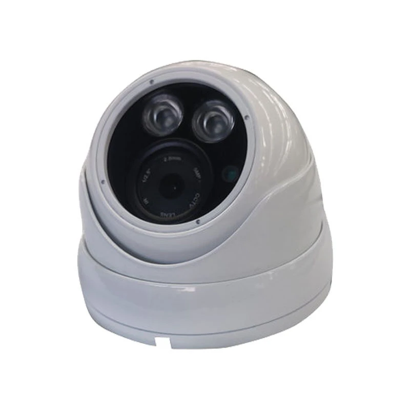 700TVL HD Caméra de vidéosurveillance IP de la sécurité imperméable intérieur/extérieur de la vision nocturne (SX-8804AD-7)