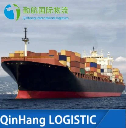 China Logistics Top 10 Servicio de Envío Transporte Transporte Transporte marítimo Agente para el transporte de alimentos en Europa/ América/Reino Unido