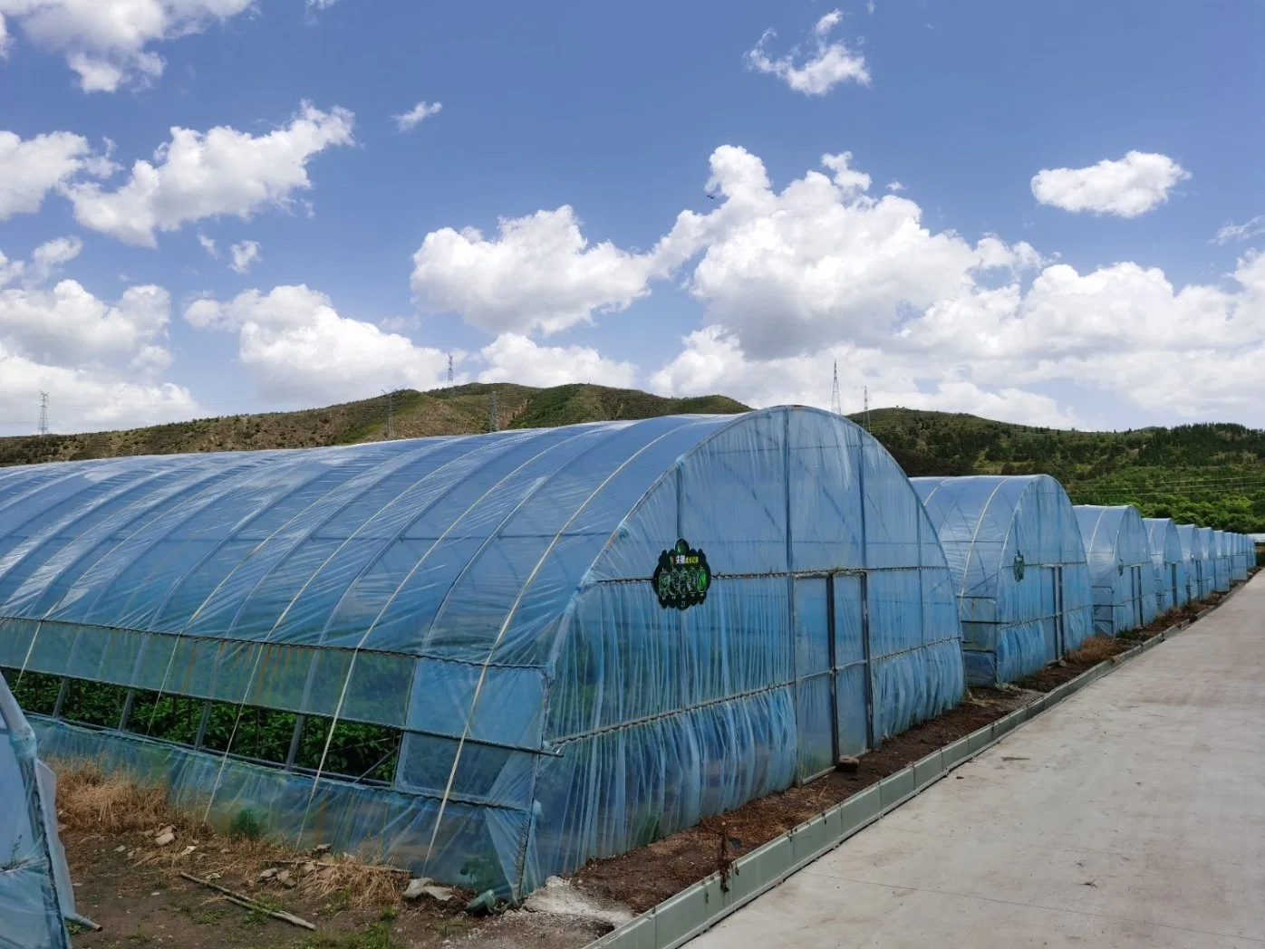 Estufa hydroponic para planta que cresce