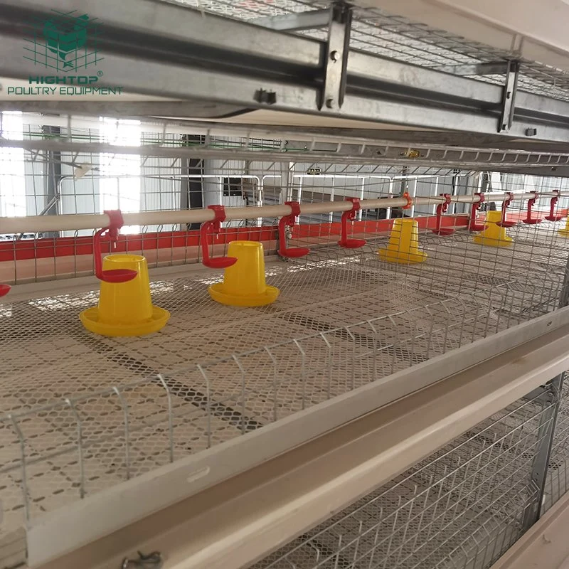 Quality Poultry Farming 3 Tier H Frame Egg Layer Chicken Battery Broiler Cage for Sale