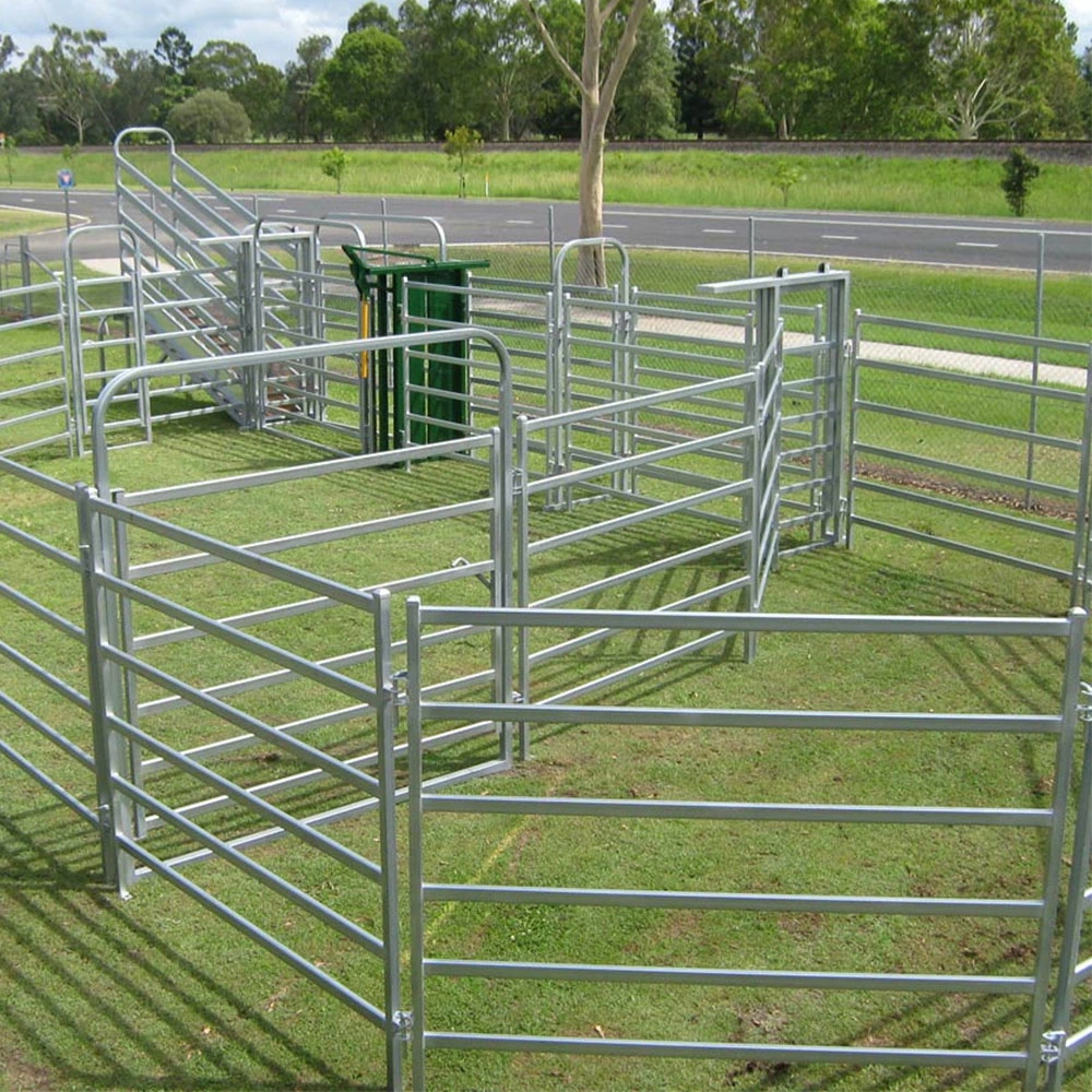 Hot Sale Steel Galvanized Cattle Fence Post Cattle Panels Livestock for Sale