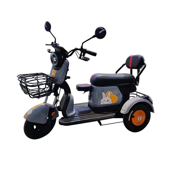 Saige 500W 48V 20ah eléctrico Tricke scooter eléctrico para ancianos Conejo