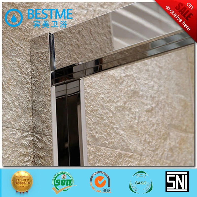 Two Sliding Door Stainless Steel Frame Sanitary Shower Door (BL-B0087-P)