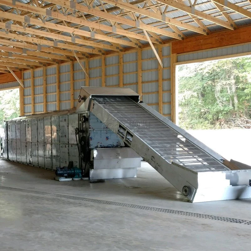 Viento caliente la circulación de la máquina de secado de los chips de yuca