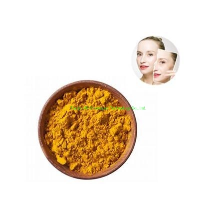 China Supply Biochemial Natural Turmeric Extract Pure Curcumin 95%