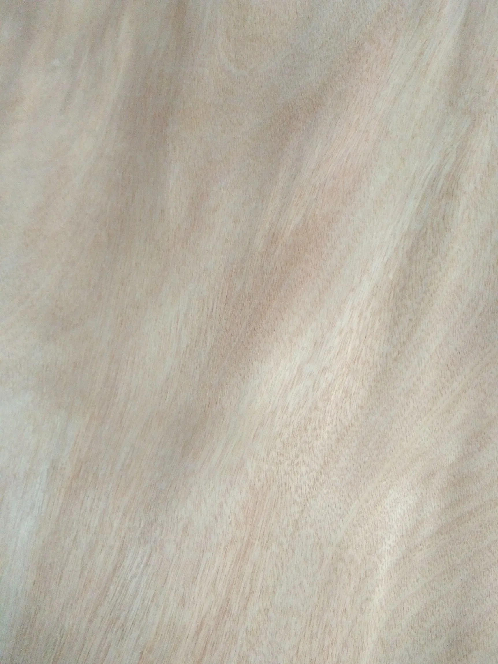 High quality/High cost performance  Nature Wood Veneer for Face and Back