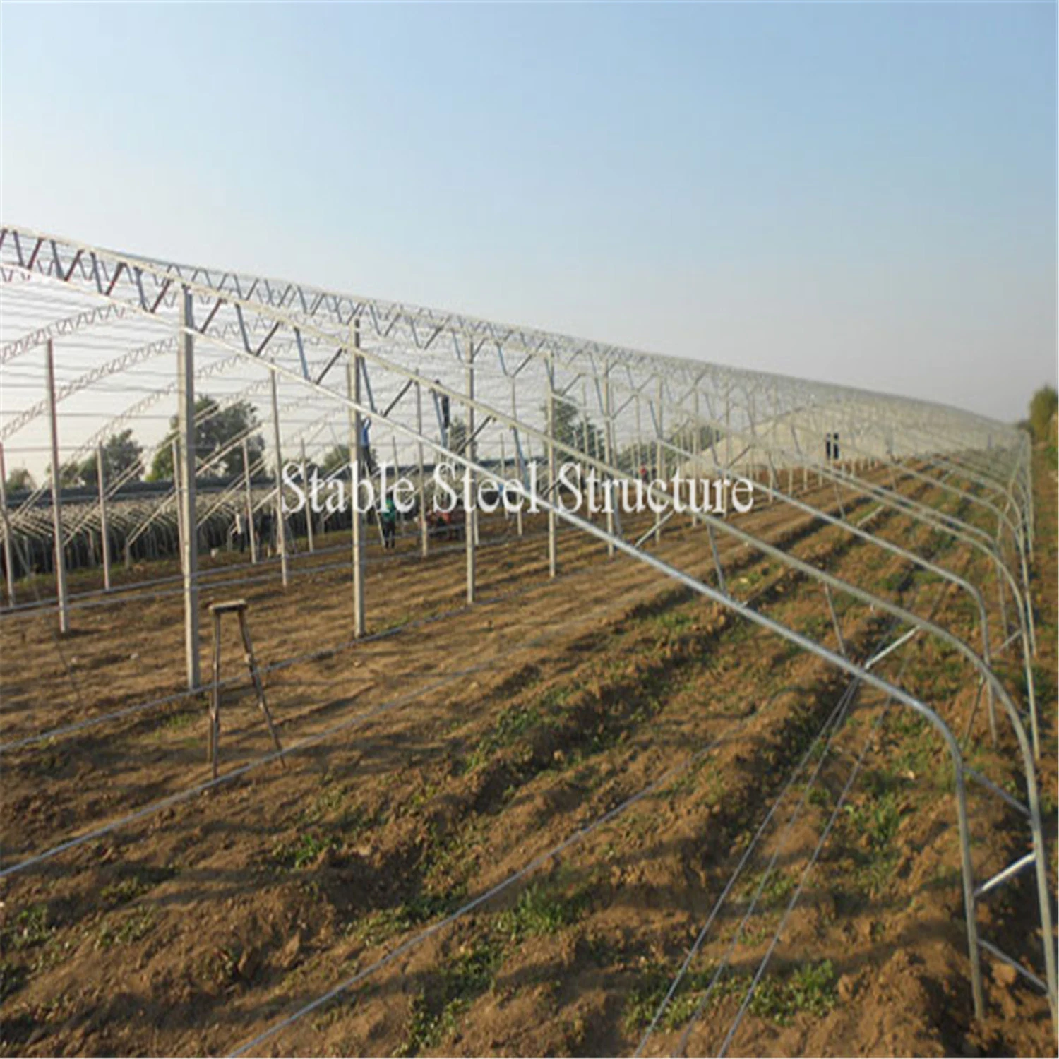 High quality/High cost performance  Plastic Film Green House for Planting Vegetables and Fruits