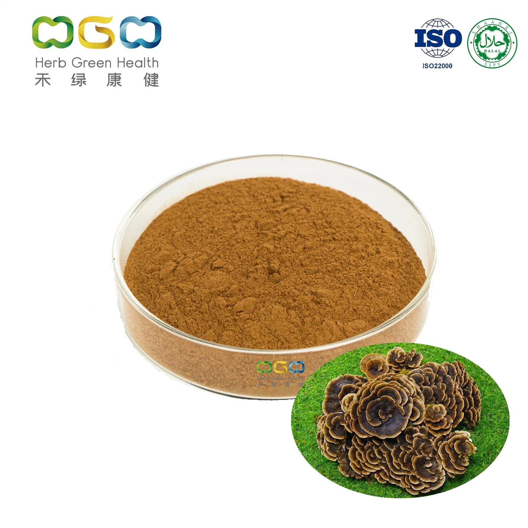 Chemical Organic Turkey Tail Reishi Lions Mane Mushroom Extract Powder Complex