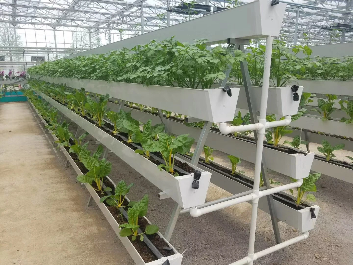 Greenhouse Hydroponic System Strawberry Cultivation Tray Trough