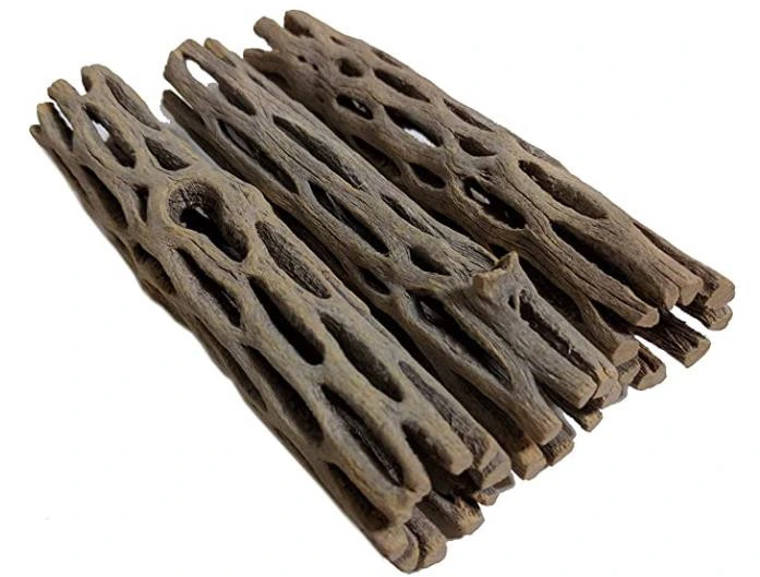 Natural Cholla Wood for Aquarium, Fish Tanks, Shrimp, Hermit Crab Decorations, Reptile Habitats - 4 and 6 Inch Driftwood