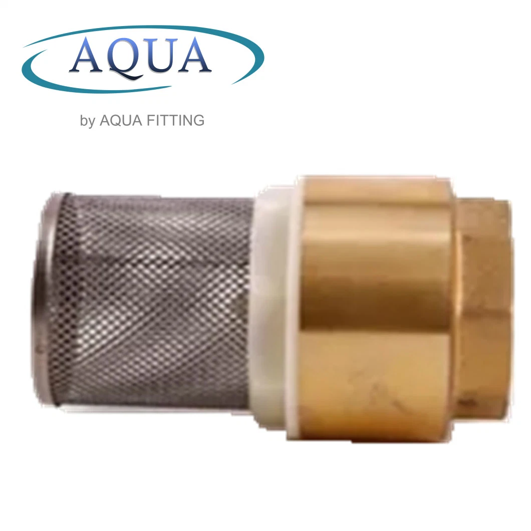 Original Factory Brass with Mesh Check Valve Stainless Steel Web Filter Mesh