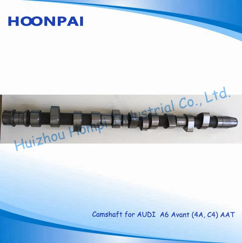 Auto Spare Part Camshaft for Volkswagen/Audi A4 Convertible (8H7, B6, 8HE, B7)/A6 Avant (4A, C4) 058109022B(IN) 058109021B(EX) 074109101J/Bmm/BPW/Brc A3 2.0tdi