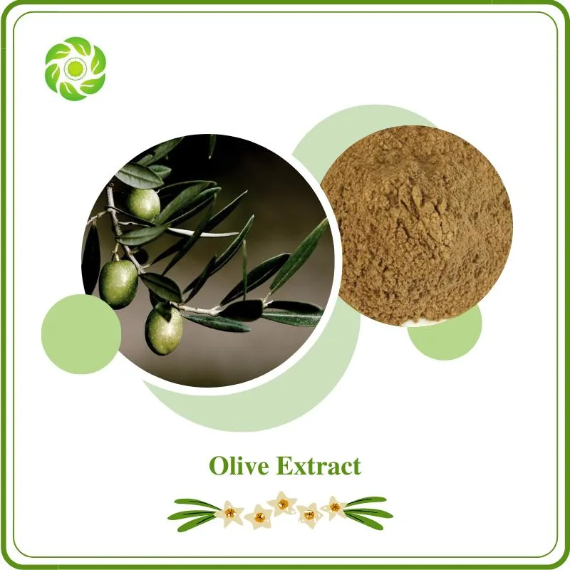 10%-80% de l'oleuropéine Hydroxytyrosol 10 % 20 % 30 % 50 % 60 % 98 % Acide Oleanolic extrait d'olive