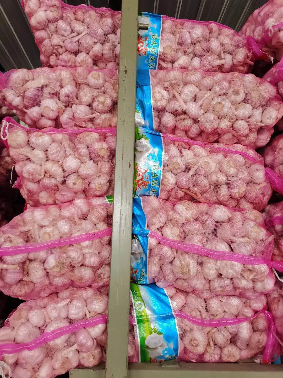 2020 Crop Indonesia Market Standard Fresh Garlic