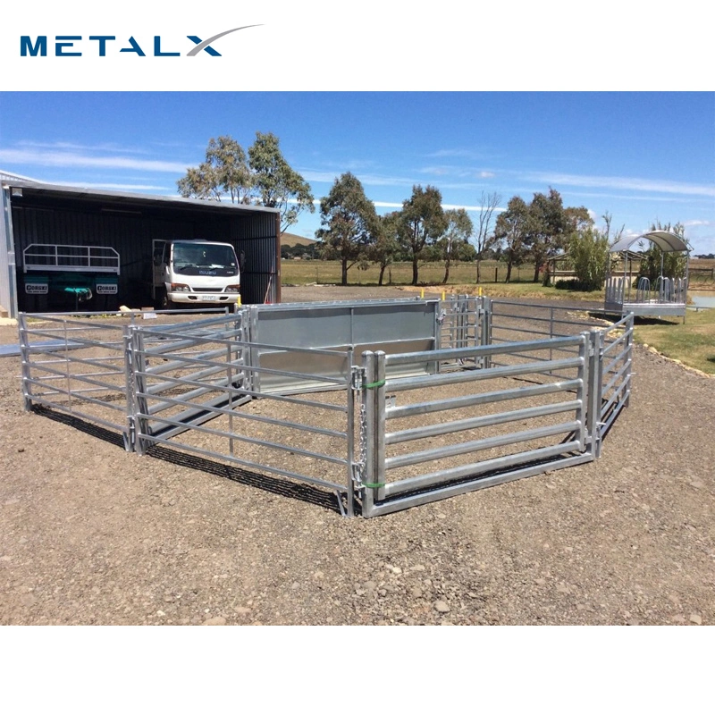 Tubería galvanizada Ganadería flexible Metal barato Australia usó ovejas Yardas Horse Cattle Fence Panels