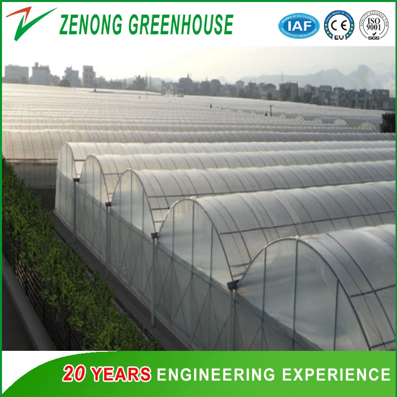 Poly Film Overwintering Vegetable Greenhouse for Tomato/Green Cucumber/Flower Cultivation/Ecological Hotel