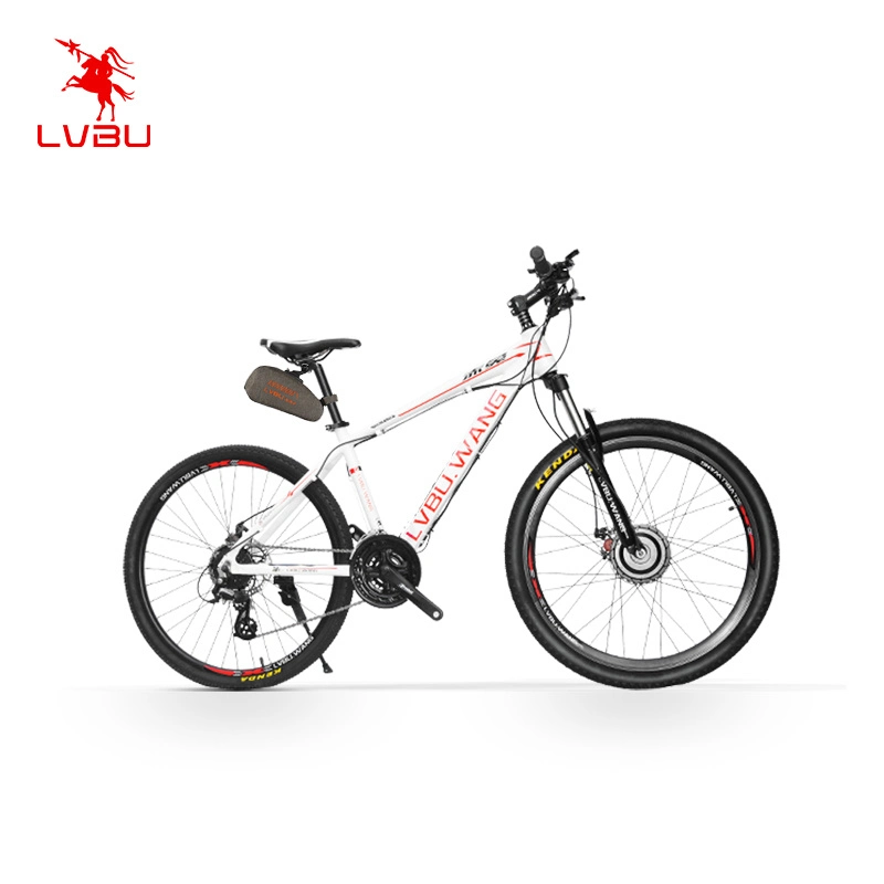 E-Bike Motor Kit Powerful for MTB Cycle Front Hub Motor Wheel 36V 250W 350W Electricity Wheel Lithium Battery