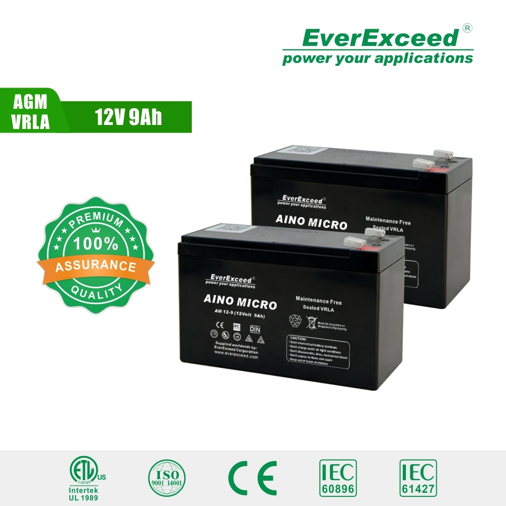 Everexceed Aino Micro Range UPS/ Emergency Light/ Telecom 12V 9ah AGM Rechargeable Battery