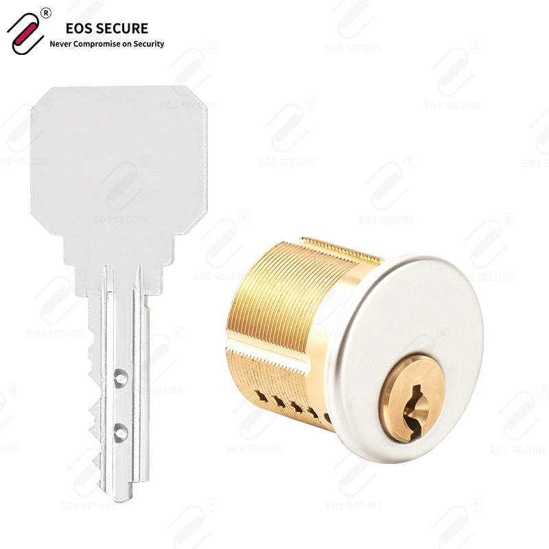 American Standard Cam 1 Inch Restricted Keyway Side Pins Brass Round Mortise Door Lock Cylinder