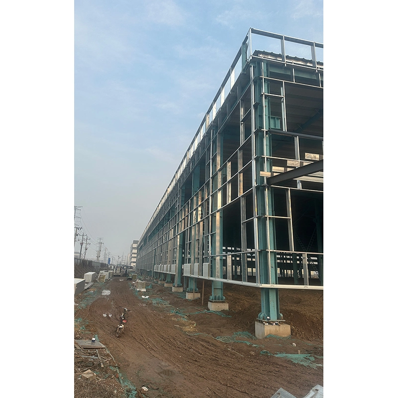 Steel Structure Factory Wholesale/Supplier Prefabricated Steel Structure Series Buildings