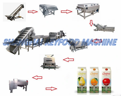 Tomato Fruit Juice/Tea/Paste/Sauce/Ketchup Processing Concentrated Filling Machine Making Production Machine