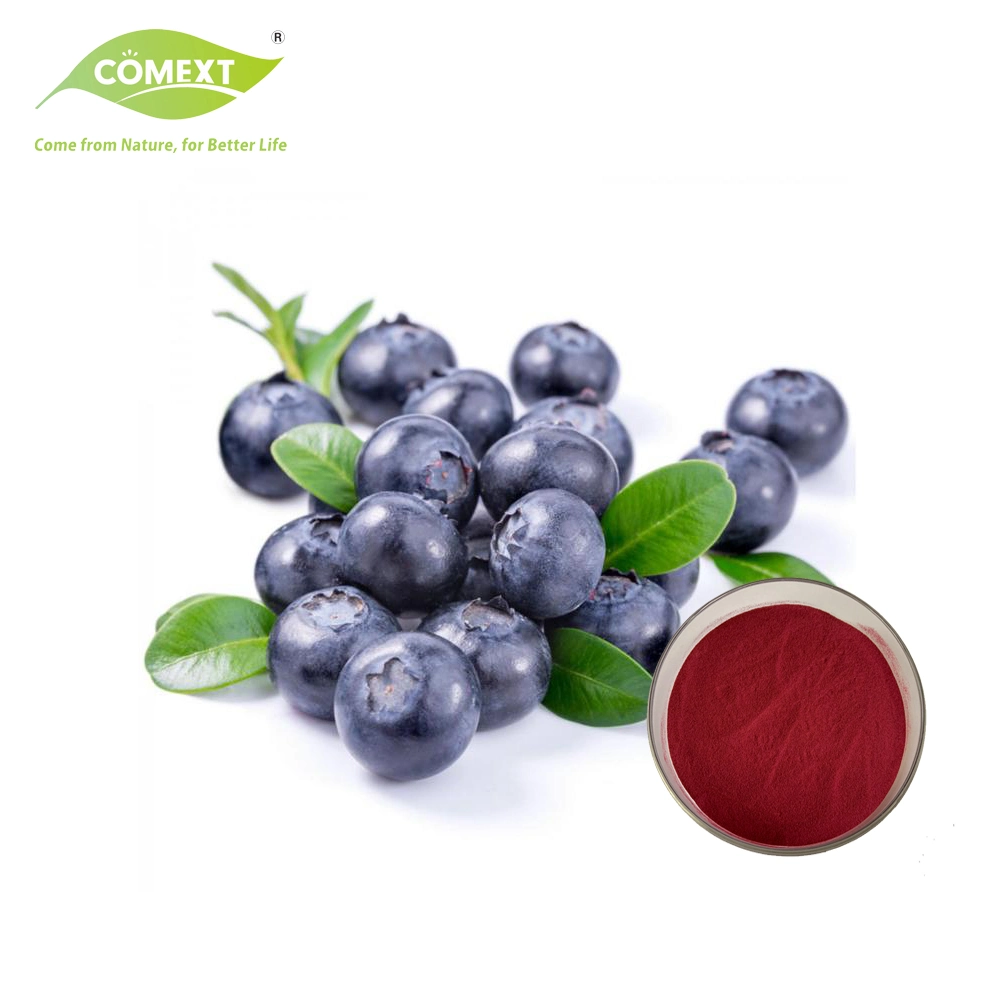 Comext 10: 1 Purple Red Bilberry Fruit Concentrate Juice Powder