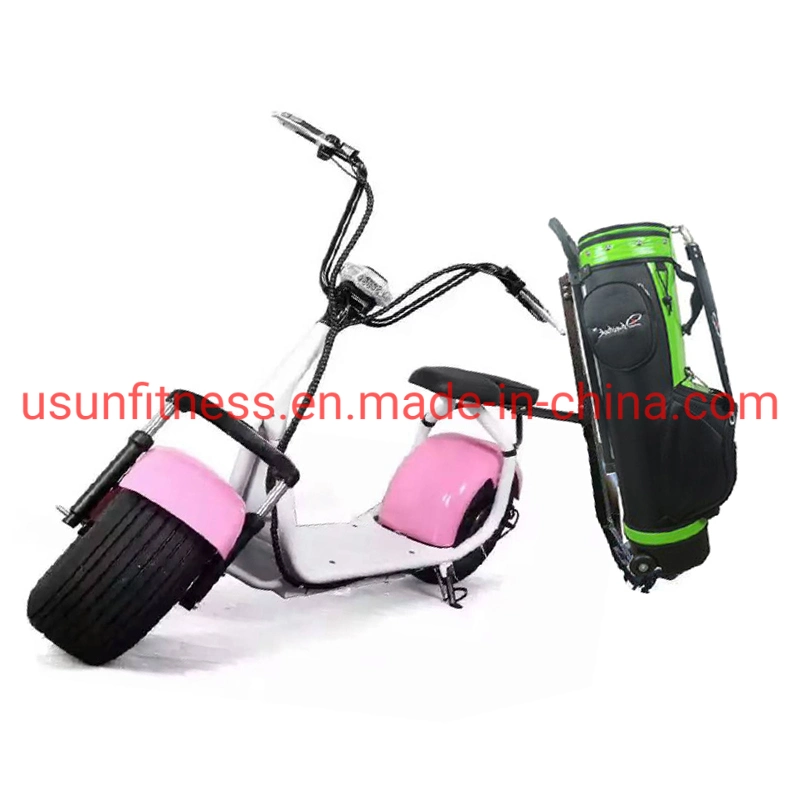 Golf Club Hot Sales 2 Wheels Electric Cars in High Performance Golf Electric Scooter City Coco Fat Tire Tricycle Motorcycle Cargo Scooters for Golf Course