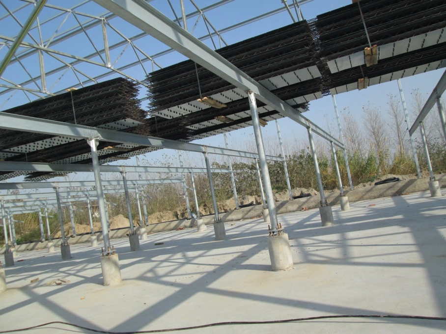 Envirnoment Controlled Steel Structure Poultry House Building