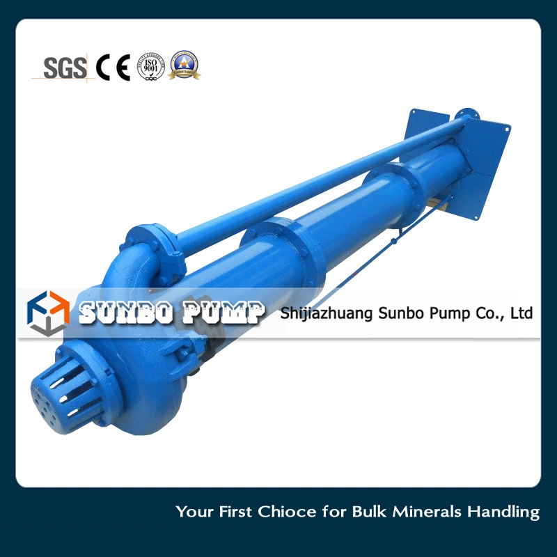 China 100RV-Sp Heavy Duty Vertical Slurry Pumps