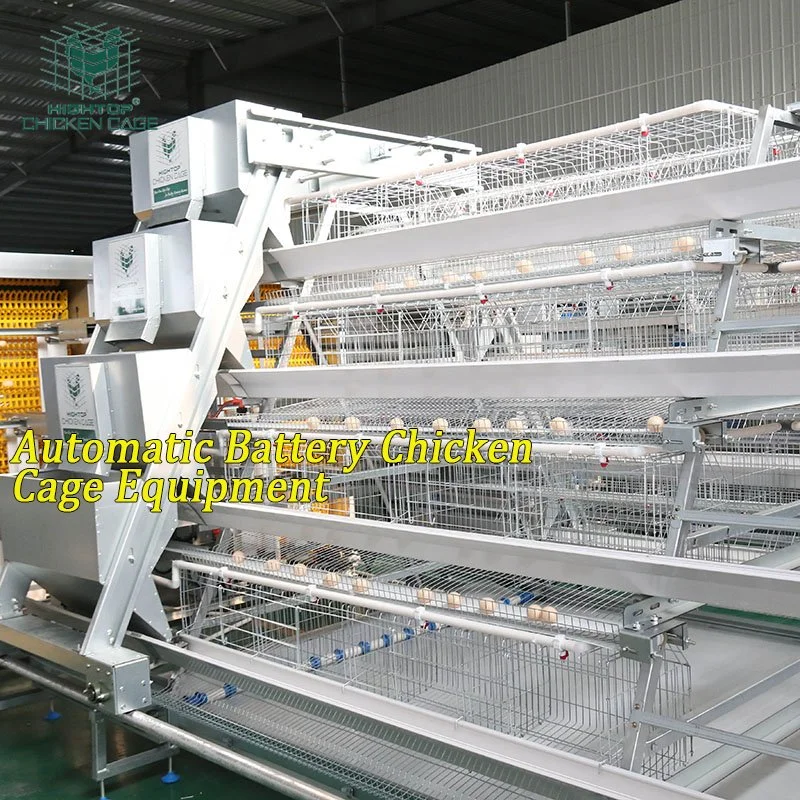 Automated Poultry Farm Equipment A Type Layer Chicken Cage with Automatic Feeding System