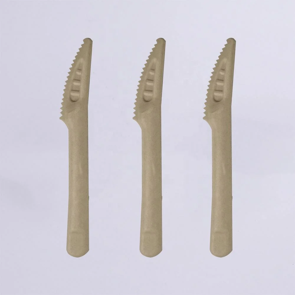 Bulk Bagasse Paper Spoon Forks Knives Disposable Sugarcane Cutlery Set