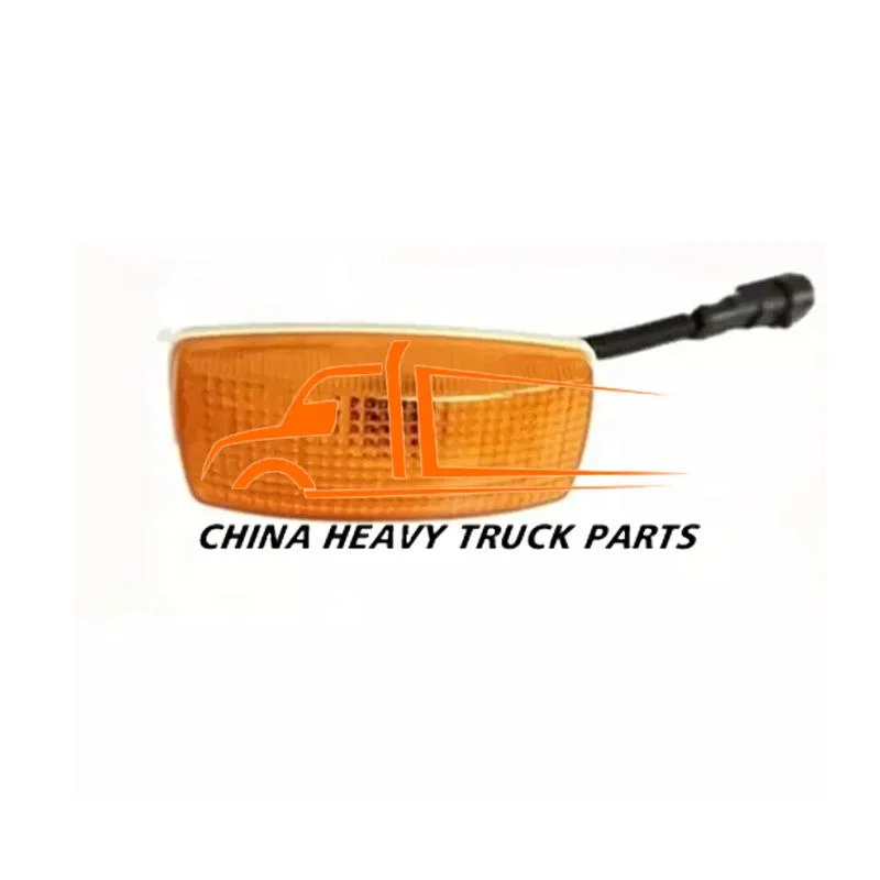 Sinotruk HOWO Side Lamp Wg9925720012 Left and Right Side Turn Signal Indoor Ceiling Light Wg9925720013