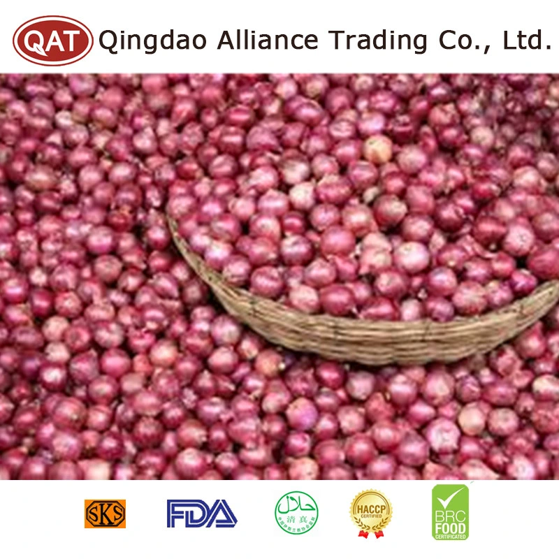 High quality/High cost performance  China Fresh Red Onion Pearl Onion para exportação