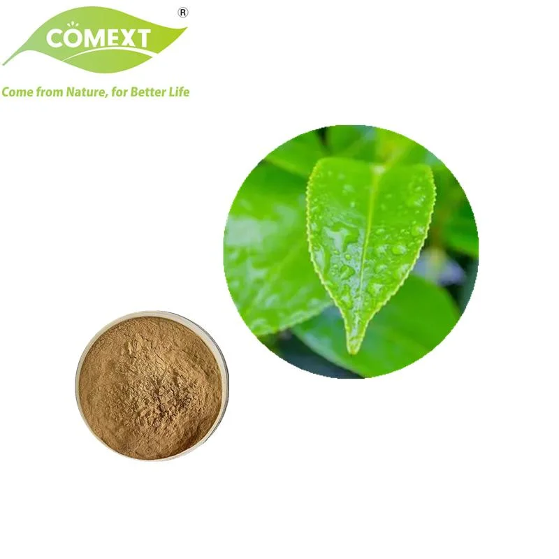 Comext High quality/High cost performance  Gholesale Price 45% EGCG 75% Catechin Green مسحوق الشاي المستخرج من الشاي لمادة التغذية