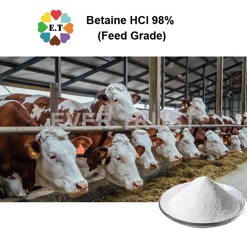 Feed Grade Betaine HCl Hydrochloride 98% Powder for Poultry Livestock Aquatic Manufacturer Price