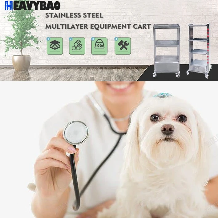 Heavybao Multi-Layer Equipment Load-Bearing Cart Pet Hospital Clinic Trolley Medical Dental Cart with Socket