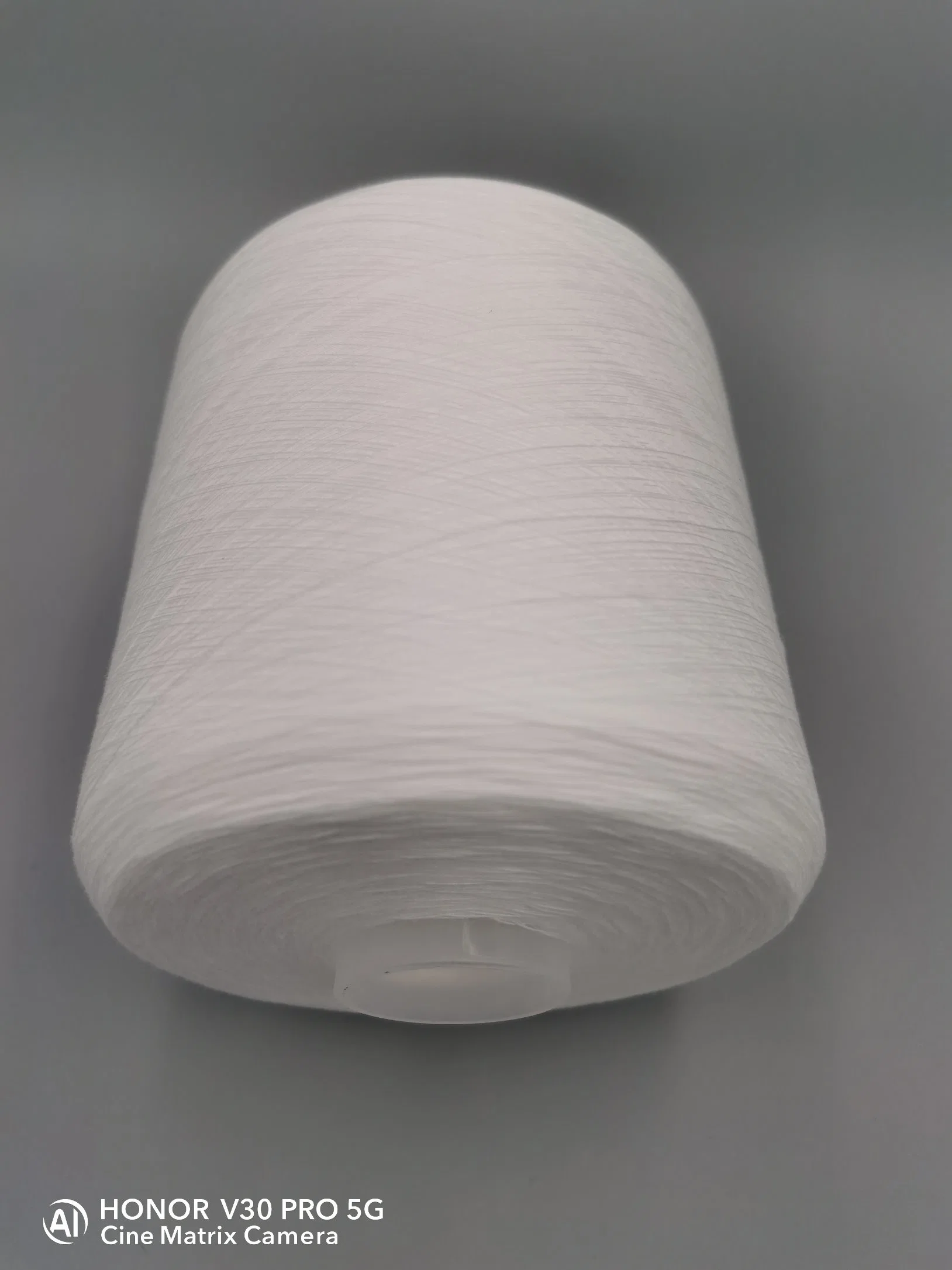 Garment Yarn 0.95kg Polyester Spun Yarn 202 203 402 for Vietnam Market