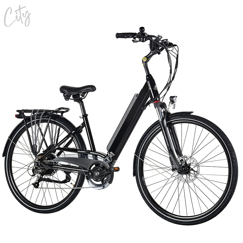 Rot China Fabrik Großhandel/Lieferant eBike 250W Elektro-Fahrrad 26" Rad