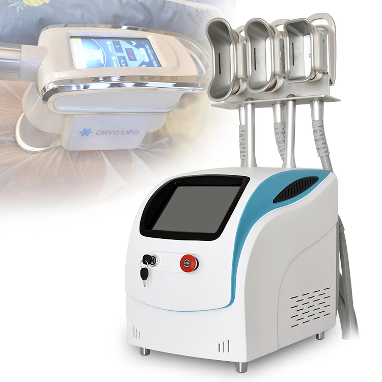 Descuento de 360 de alta calidad Cryolipolysis cuerpo adelgaza la máquina Salón de belleza equipo