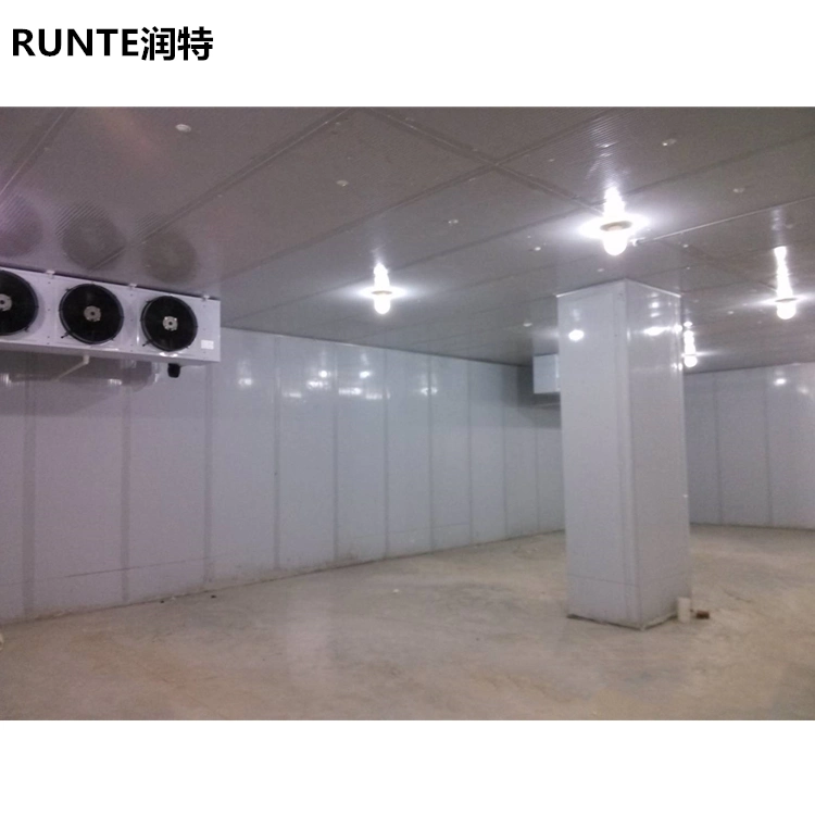 Runte Outdoor Banana Reliable Quality Big Plant Warehouse Cold Storage System