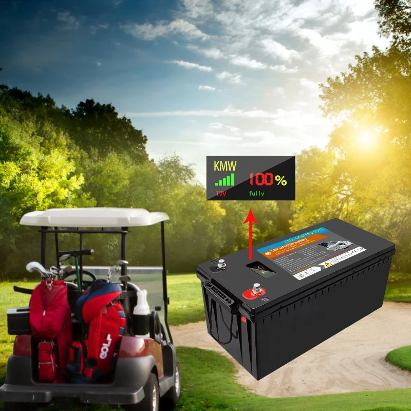 60A Charge Controller 1800mAh Battery 12V 24V 36V 48V Capable with DC to DC Battery Charger Solar Panel and Lithium