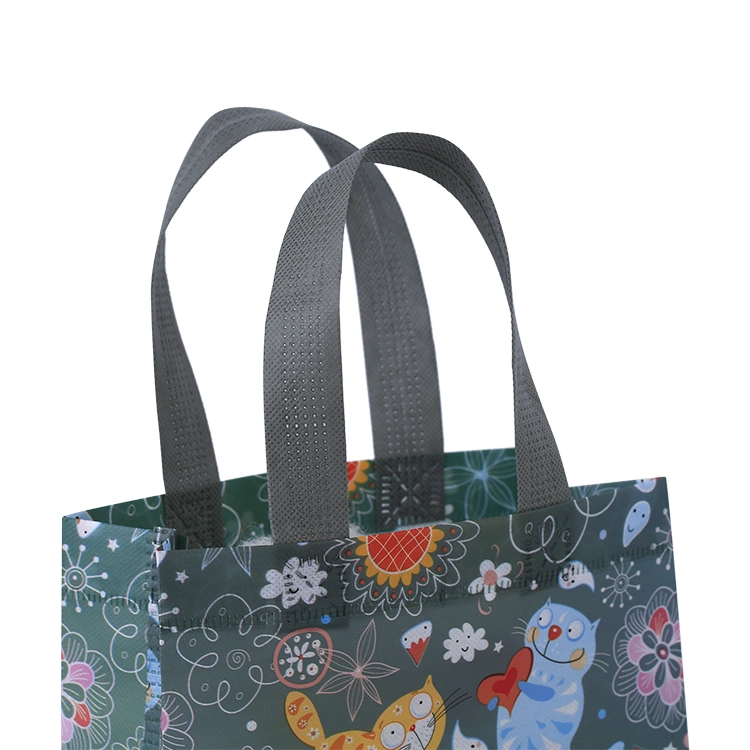 Custom Design Laminated Environmental Recyclable Non Woven Shopping Gift Tote Bag