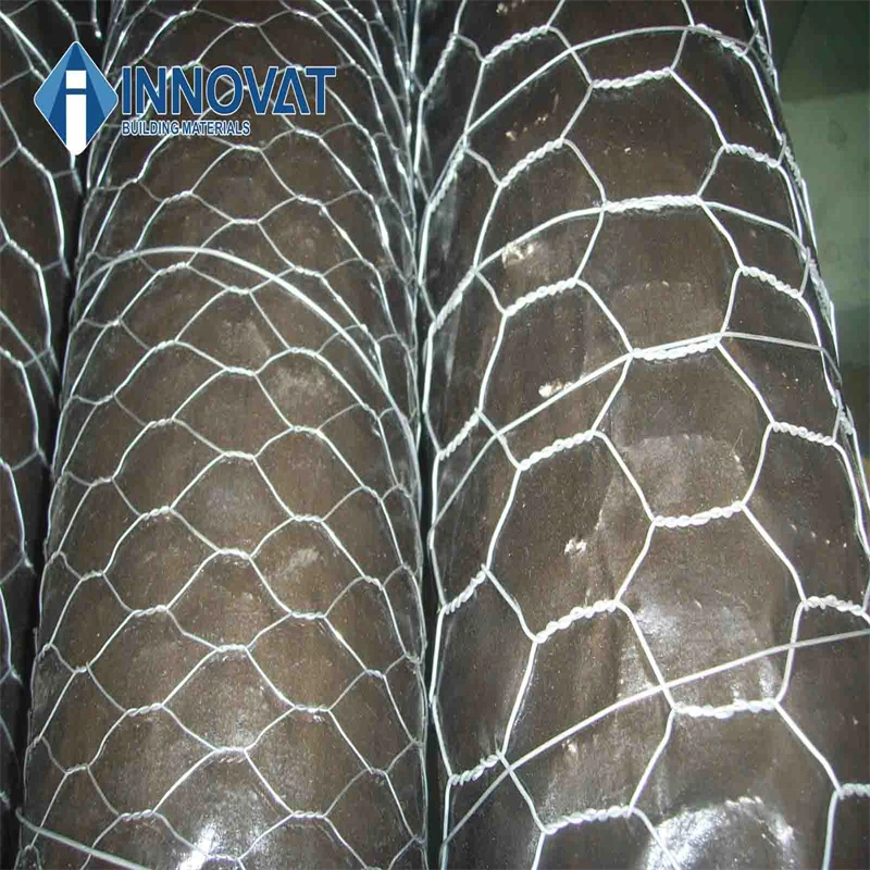 Hexagonal Wire Mesh /Galvanized Chicken Wire Mesh/Vinyl Chicken Mesh/