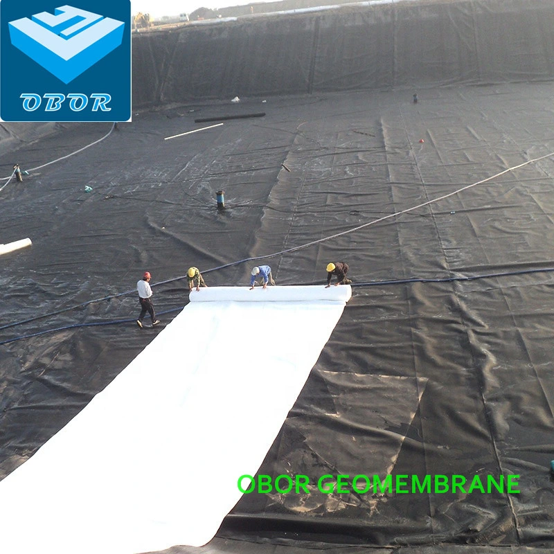 20mil 40mil 50mil 60mil 80mil 100mil Anti-Aging Membrane Film for Dam with Direct Factory Price China