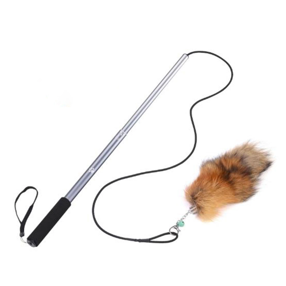 Wholesale/Supplier Outdoors Extendable Interactive Dog Chewing Flirt Poles