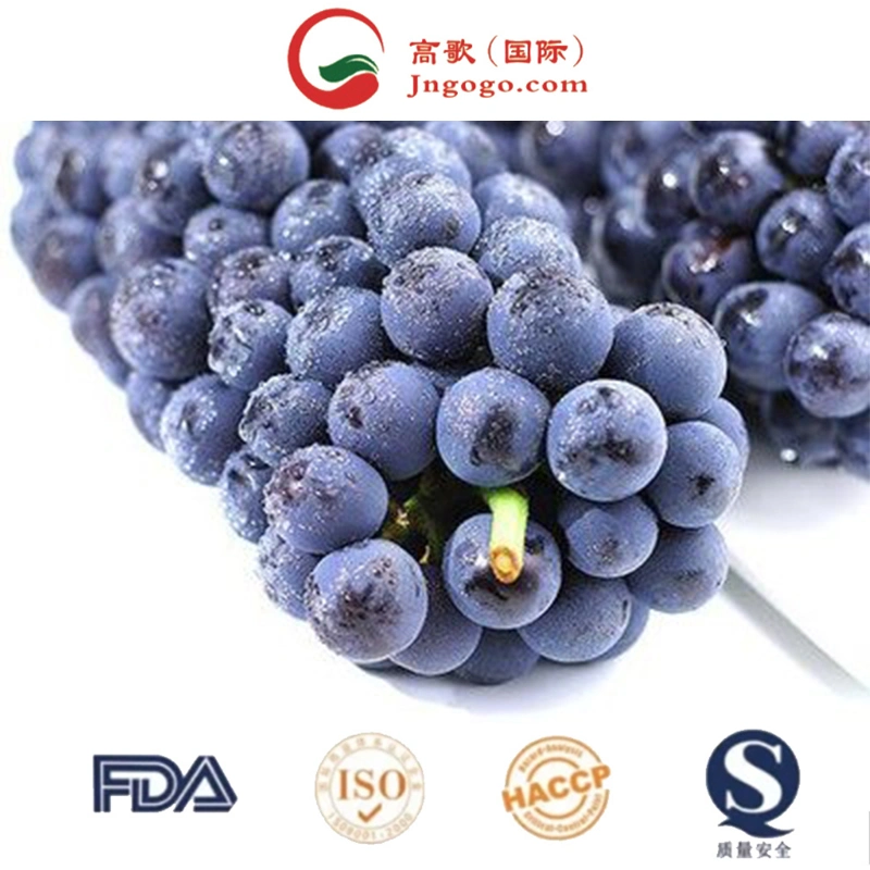 Wholesale Box Style Storage Packaging Fresh Grapes Grapes Fruit Grapes Fresh