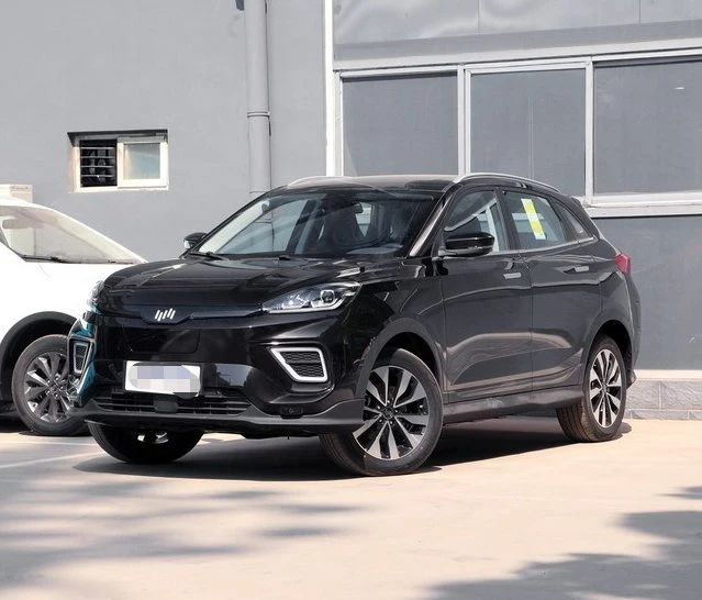 Carro SUV automóvel eléctrico puro de preço reduzido