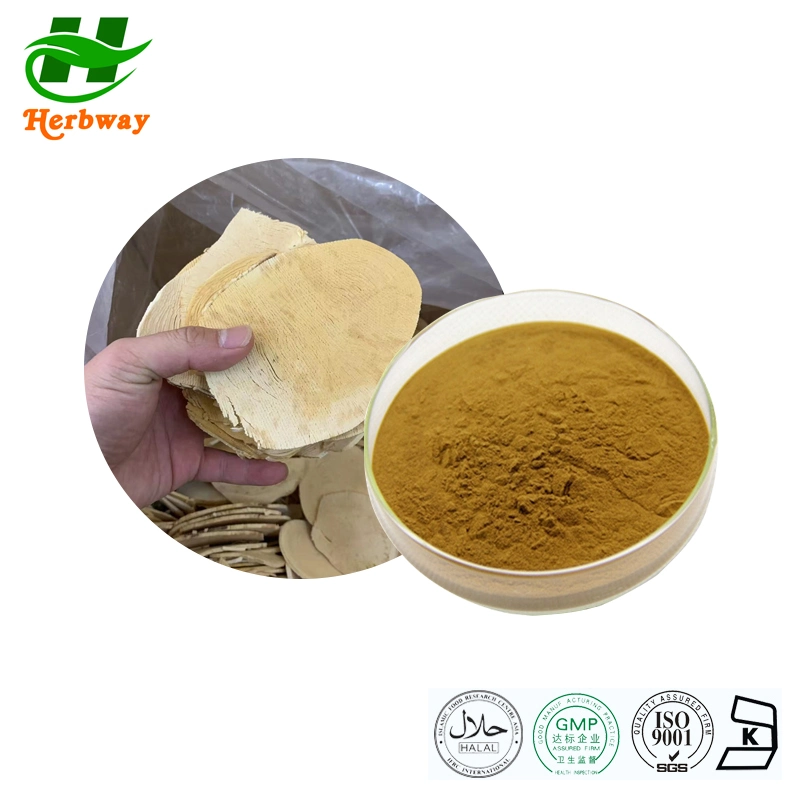 Herbway High Purity Herbal Extract Powder Meidical Grade 100% Natural Eurycoma Longifolia Extract Tongkat Ali Root Tongkat Ali Extract for Health Care