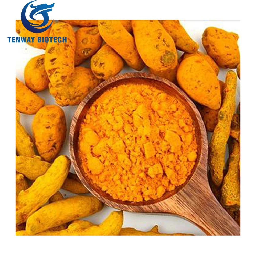 Ingrédient alimentaire d'alimentation de l'usine pharmaceutique et chimique et de la Curcumine extrait de curcuma 98 % de poudre pour les soins de santé Supplément