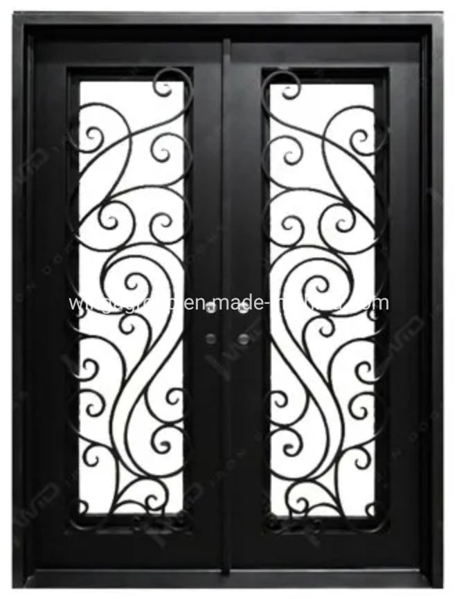 Decorate Arc Glass Wrought Iron Steel Security Door Wg-Sg-08